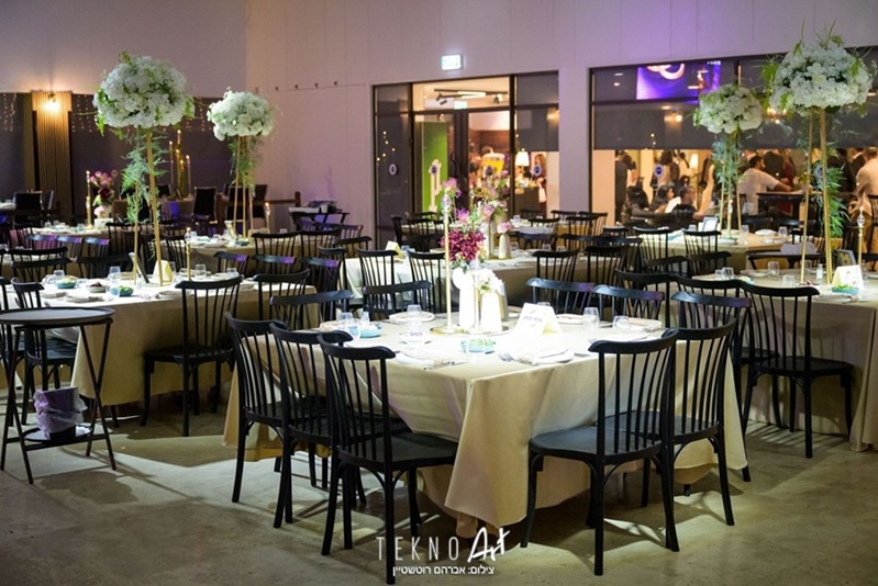 ויטראז נס ציונה